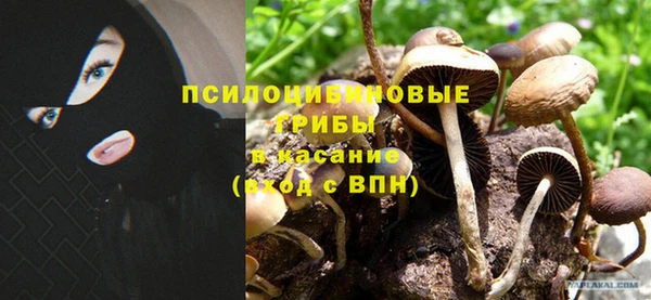 гидропоника Инта