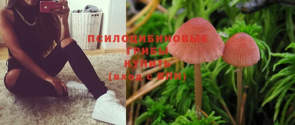 спайс Балабаново