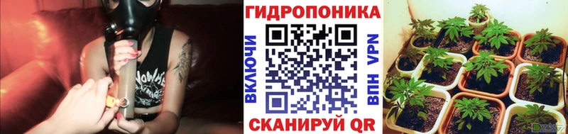Бошки марихуана VHQ  Ершов 